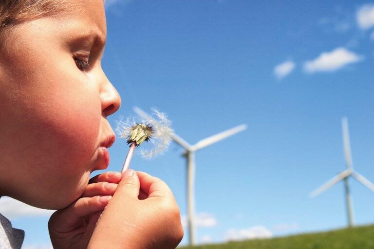 Santrifüj Blowerlar