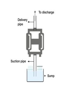 WhatsApp Image 2025-11-06 at 10.52.35