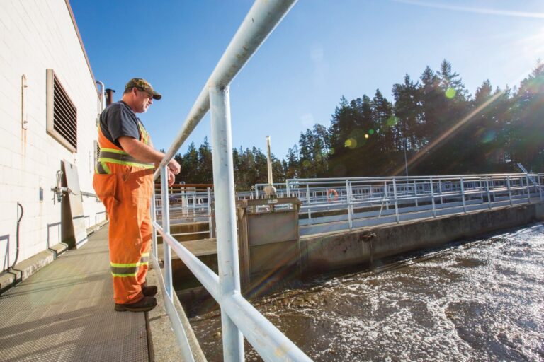 WhatsApp Image 2025-11-06 at 11.11.40 (1)