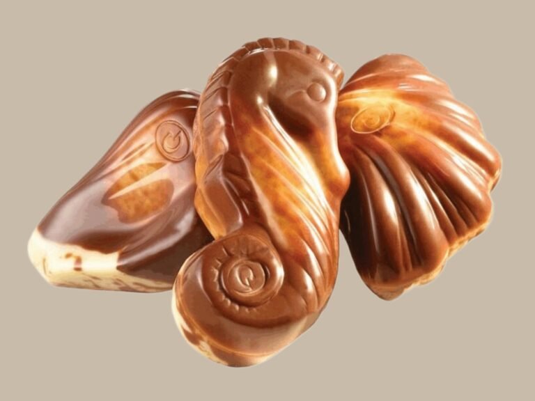 WhatsApp Image 2025-11-07 at 09.10.51